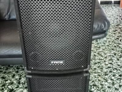 Fame MC 10 Plus MK2 350 Watt altavoces para fiestas