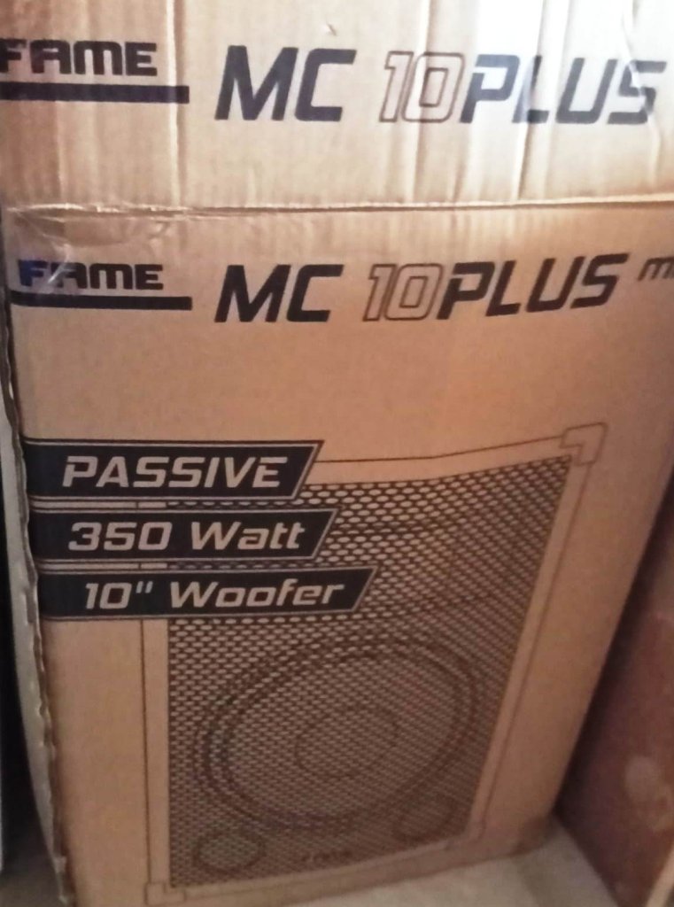 Fame MC 10 Plus MK2 350 Watt altavoces para fiestas