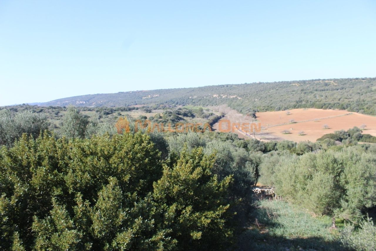 Fantastisches Haus zum Verkauf mit Gästewohnung zwischen Manacor und Alcudia