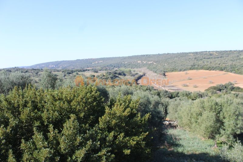 Fantastisches Haus zum Verkauf mit Gästewohnung zwischen Manacor und Alcudia