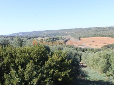 Fantastisches Haus zum Verkauf mit Gästewohnung zwischen Manacor und Alcudia