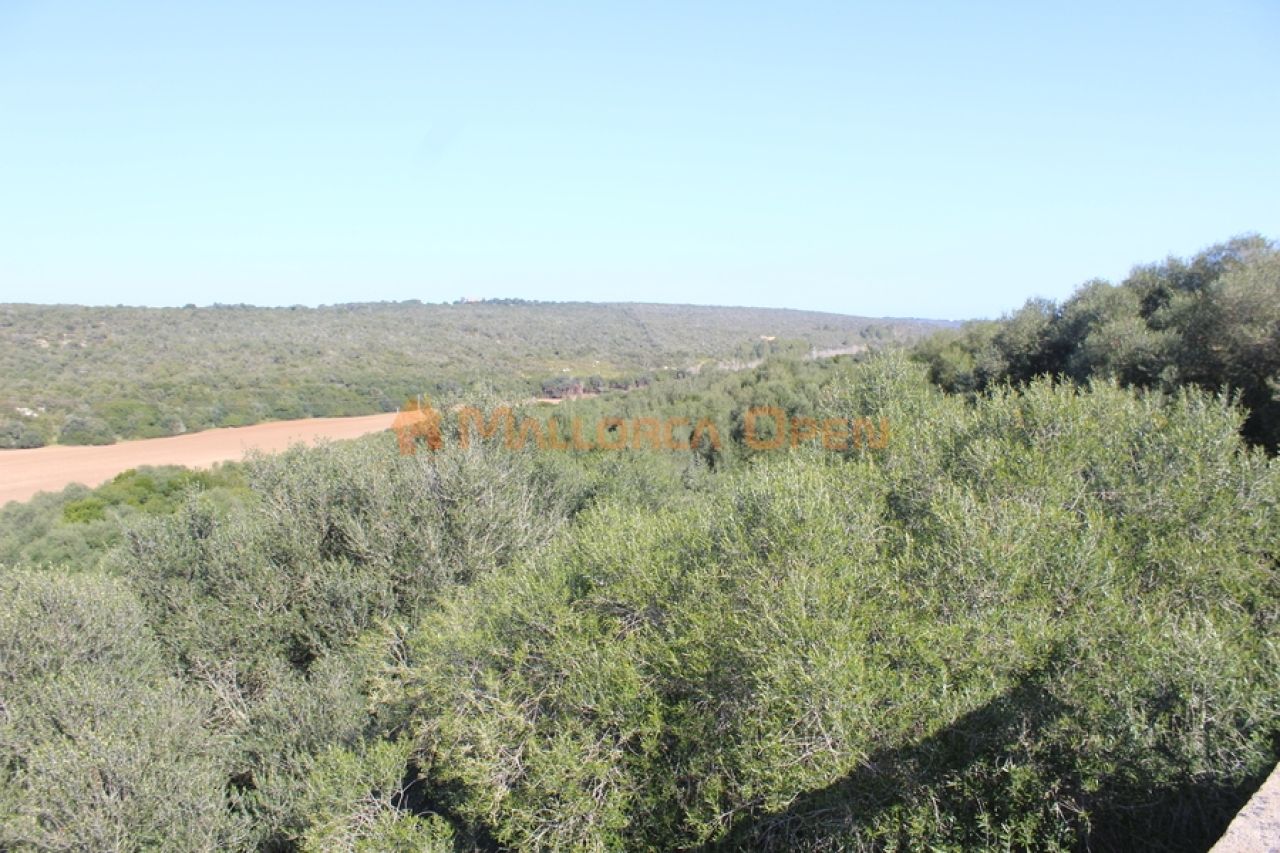 Fantastisches Haus zum Verkauf mit Gästewohnung zwischen Manacor und Alcudia