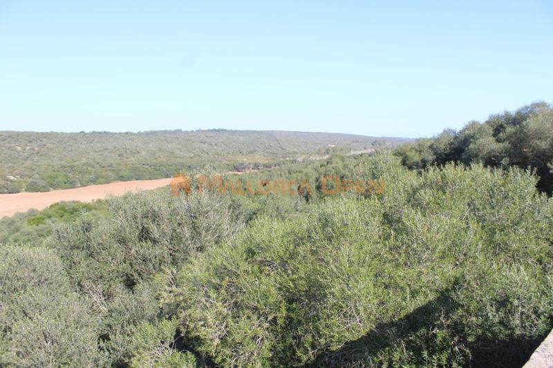 Fantastisches Haus zum Verkauf mit Gästewohnung zwischen Manacor und Alcudia