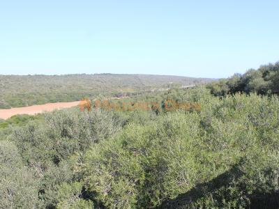 Fantastisches Haus zum Verkauf mit Gästewohnung zwischen Manacor und Alcudia