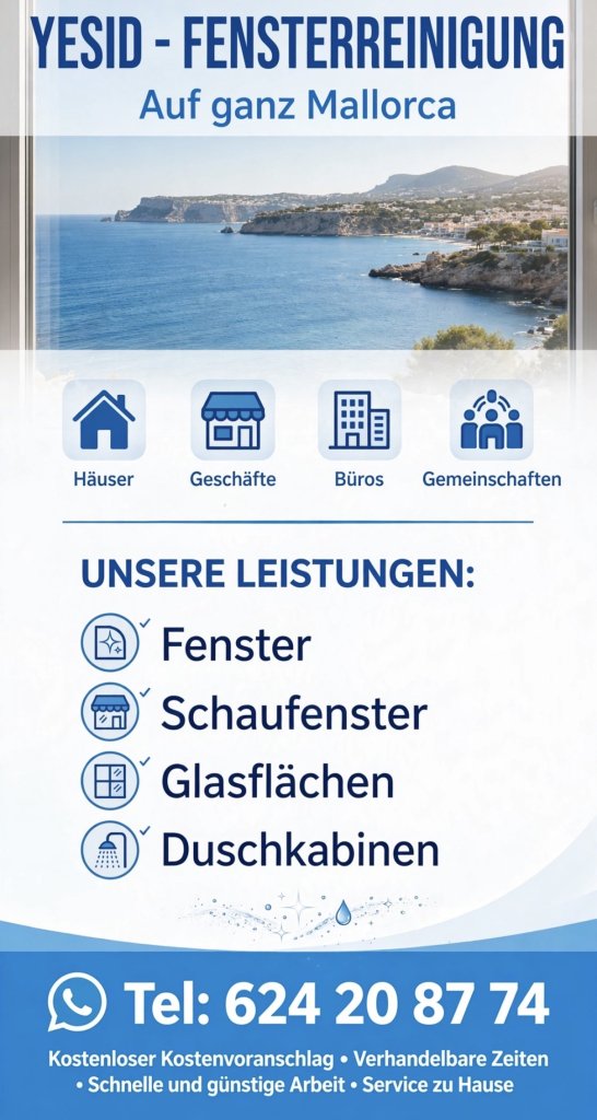 Fensterreinigung