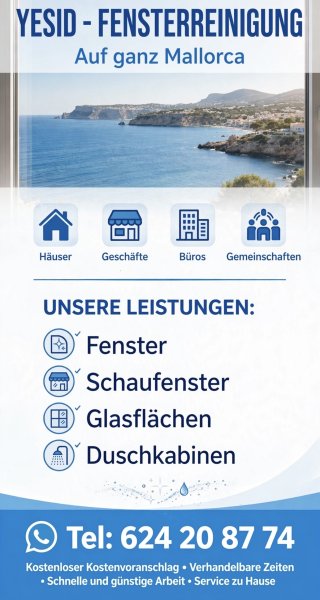 Fensterreinigung