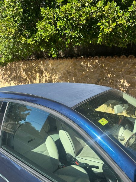 FIAT 500 CABRIO - RIVA - Top Zustand