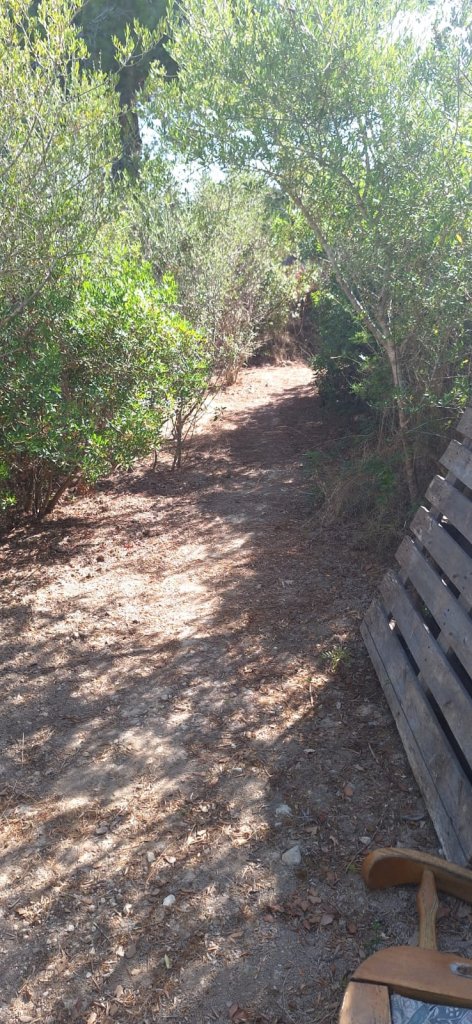 Finca in Felanitx