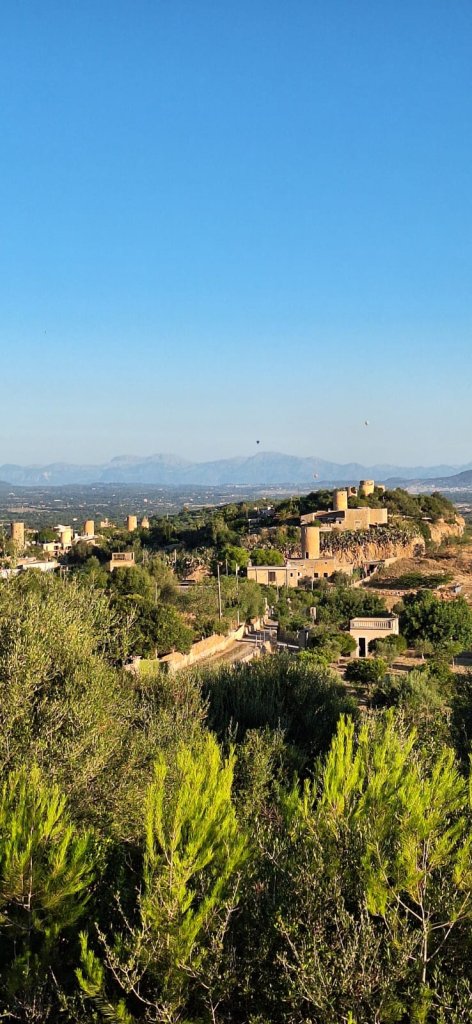 Finca in Felanitx