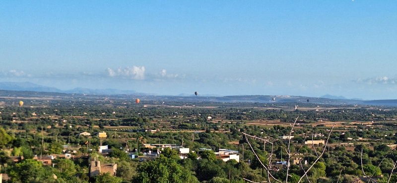 Finca in Felanitx