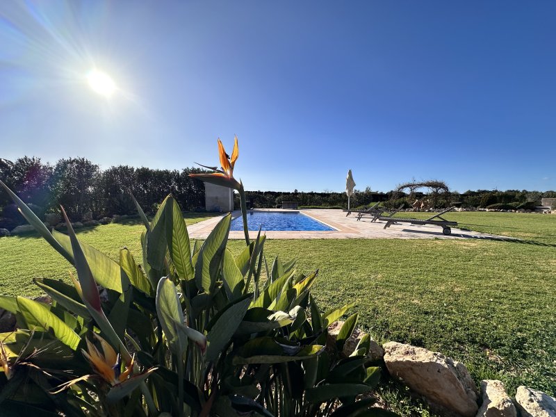 Finca in privilegierter Lage von Ses Salines  Meerblick, Ruhe und mediterrane Lebensqualität