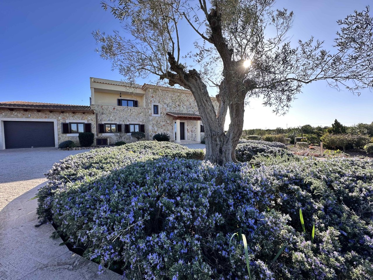 Finca in privilegierter Lage von Ses Salines  Meerblick, Ruhe und mediterrane Lebensqualität
