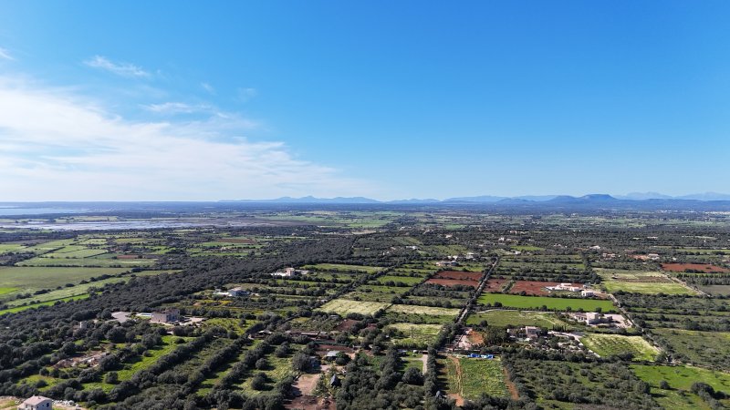 Finca in privilegierter Lage von Ses Salines  Meerblick, Ruhe und mediterrane Lebensqualität