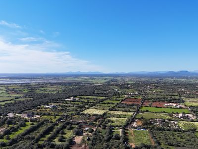 Finca in privilegierter Lage von Ses Salines  Meerblick, Ruhe und mediterrane Lebensqualität