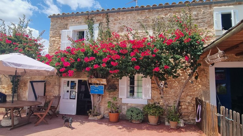 Finca con 23 plazas/licencia con piscina y muchos extras en Cala de Mallorca ---- F 50 CM