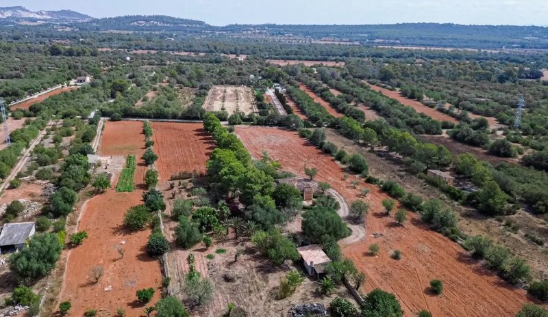 Finca with large plot and expansion potential near Campos