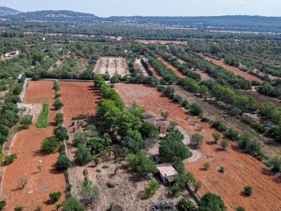 Finca with large plot and expansion potential near Campos
