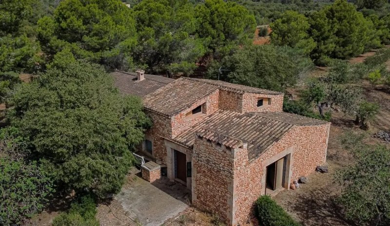 Finca with large plot and expansion potential near Campos