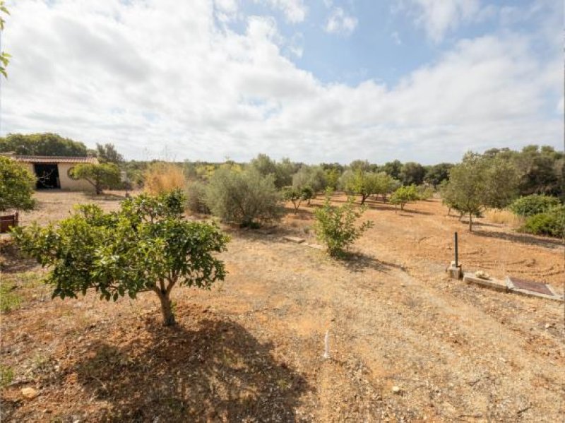 Finca mit renoviertem Steinhaus nahe INCA zu verkaufen