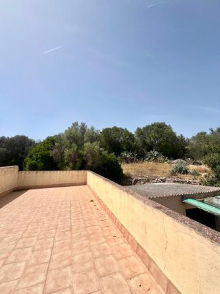 Finca mit viel Grund - nähe Palma !
