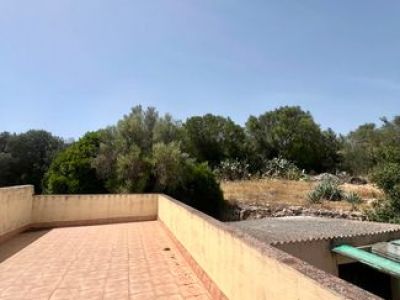 Finca mit viel Grund - nähe Palma !