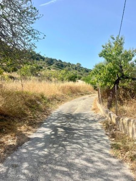 Finca mit viel Grund - nähe Palma !