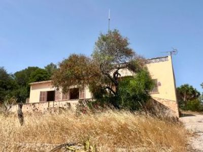 Finca mit viel Grund - nähe Palma !