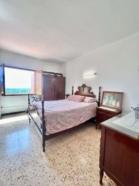 Finca mit viel Grund - nähe Palma !