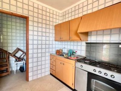 Finca mit viel Grund - nähe Palma !