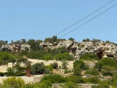 Finca mit viel Grund - nähe Palma !