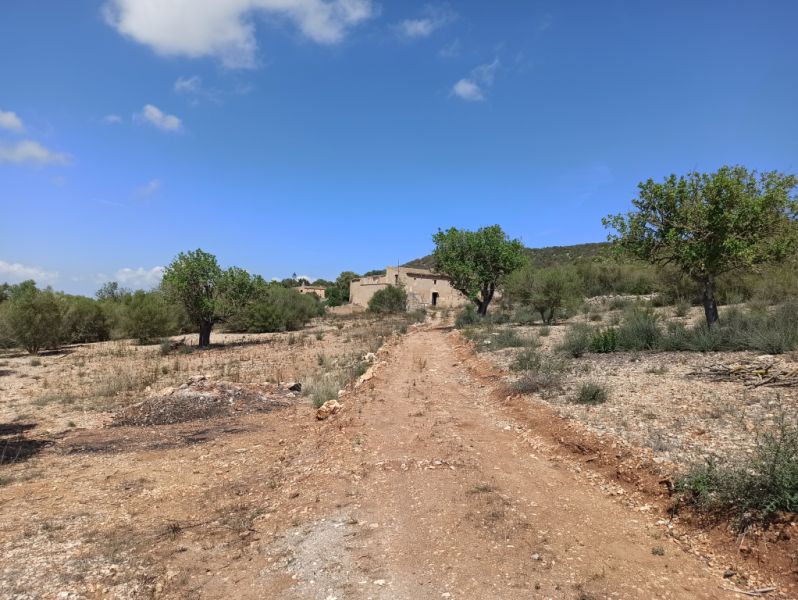 Finca Top Ubicación para Renovación en Venta en Son Macia