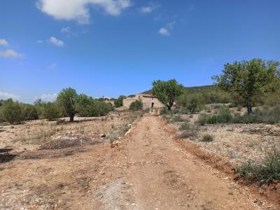 Finca Top Ubicación para Renovación en Venta en Son Macia