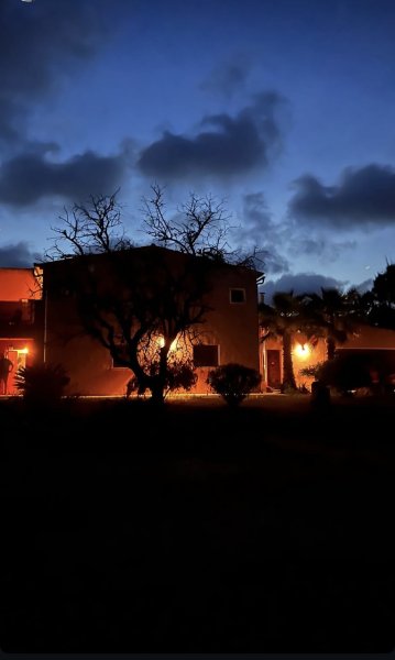 Finca and Holiday Apartment Rental