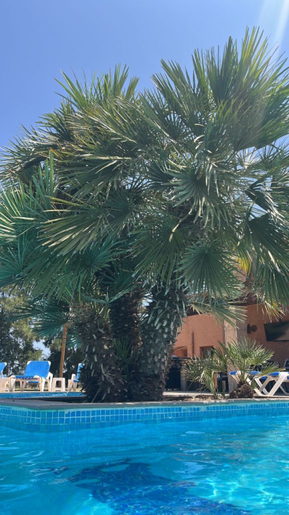 Finca und Ferienwohnung Vermietung