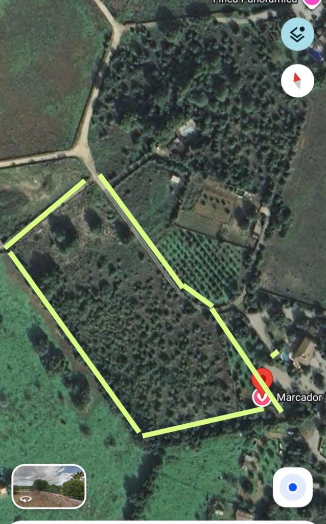 Finca urbanisable 14.000m2 mit Basisprojekt in Son San Marti (Muro) zu verkaufenn