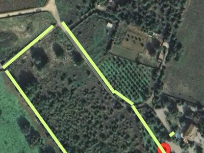 Finca urbanisable 14.000m2 mit Basisprojekt in Son San Marti (Muro) zu verkaufenn