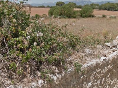 Finca urbanisable 14.000m2 mit Basisprojekt in Son San Marti (Muro) zu verkaufenn