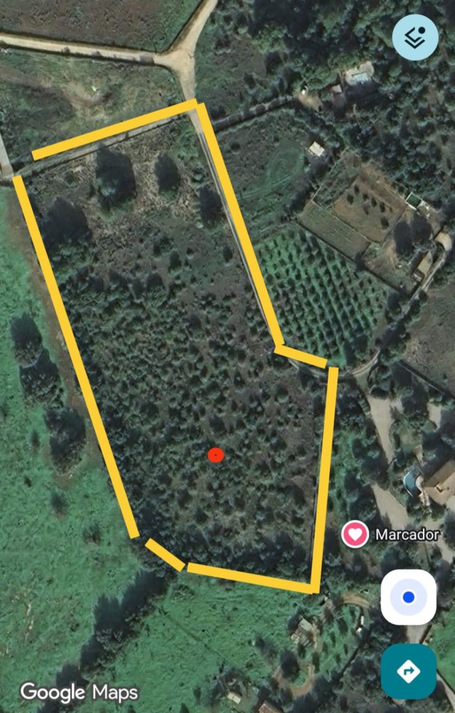 Finca urbanisable 14.000m2 mit Basisprojekt in Son San Marti (Muro) zu verkaufenn