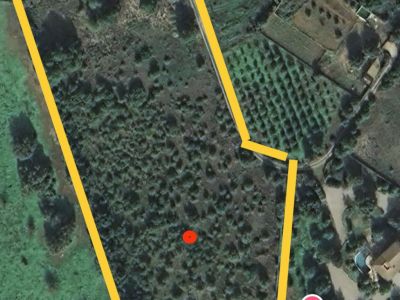 Finca urbanisable 14.000m2 mit Basisprojekt in Son San Marti (Muro) zu verkaufenn