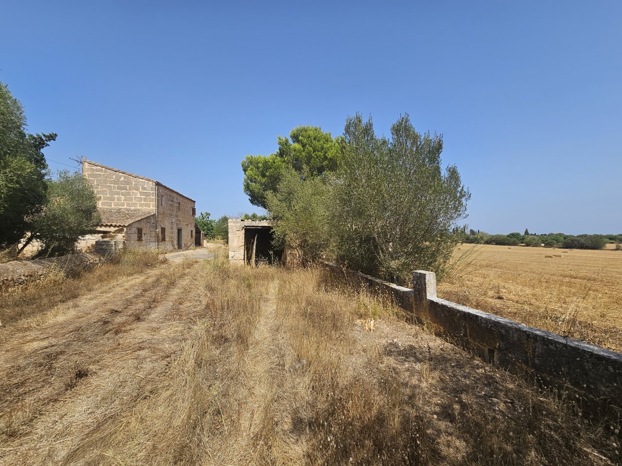 Finca, viel Nebengebäude und Land bei Portocristo - Son Carrio