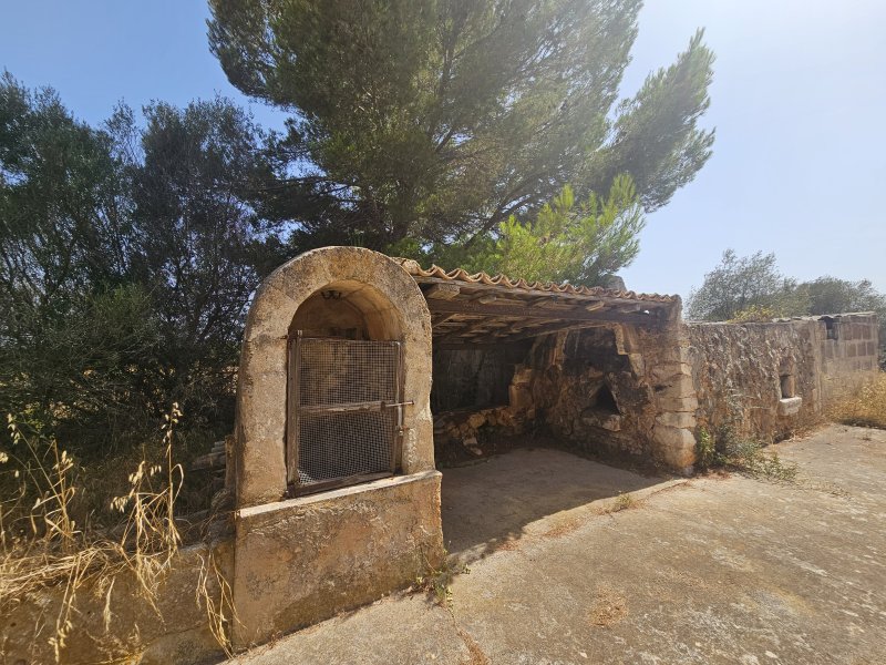 Finca, viel Nebengebäude und Land bei Portocristo - Son Carrio