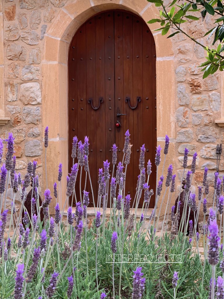 ALQUILO FINCA  a partir de Agosto