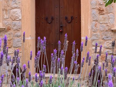 ALQUILO FINCA  a partir de Agosto