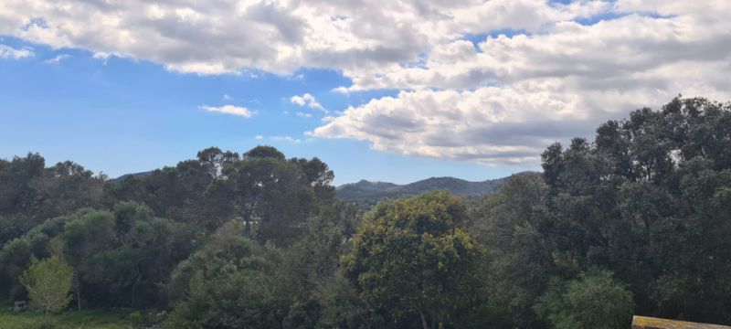 Finca zum Verkauf 3 km von Manacor