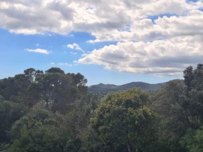 Finca zum Verkauf 3 km von Manacor