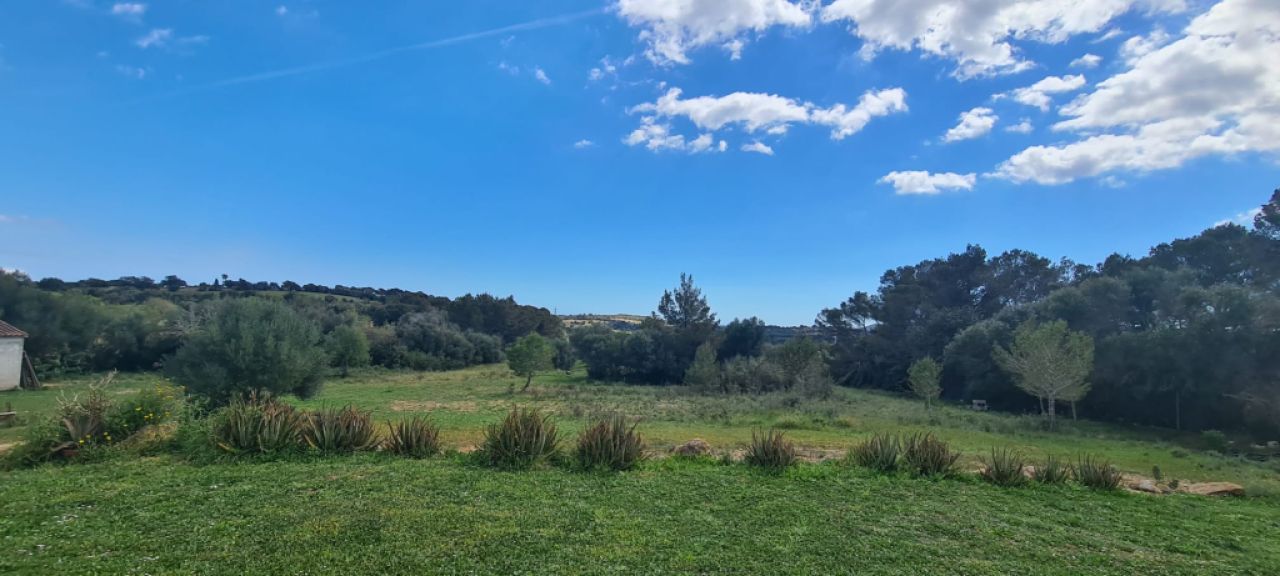 Finca zum Verkauf 3 km von Manacor