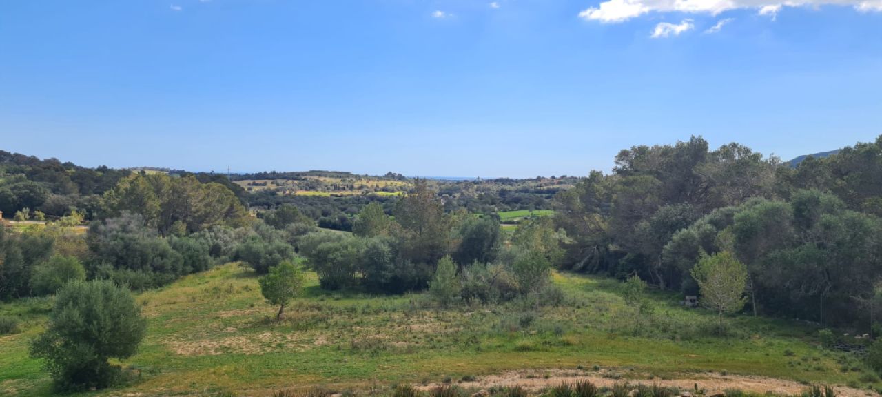 Finca zum Verkauf 3 km von Manacor