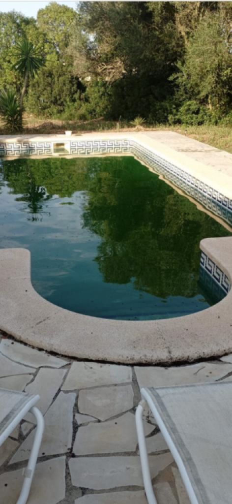 Fincaservice, Pool & Gartenpflege, Renovierungen.