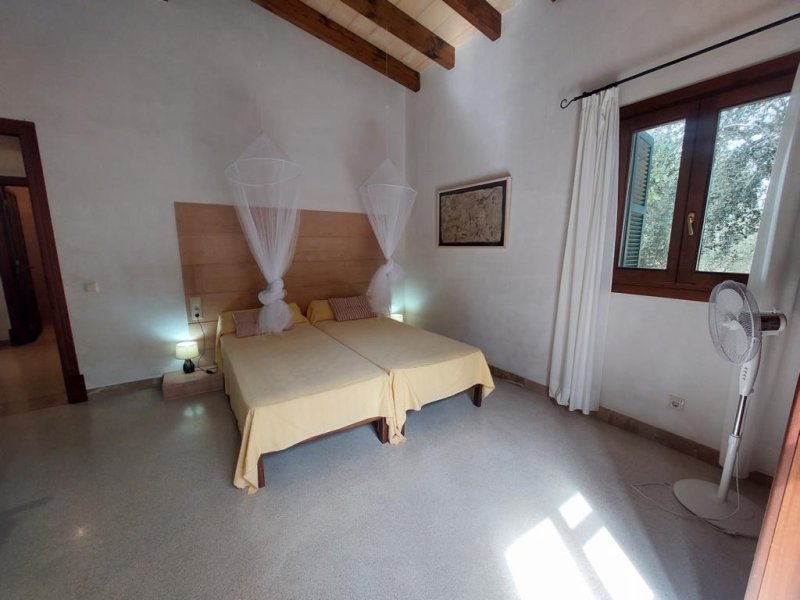 Fincawohnung bei Porto Cristo