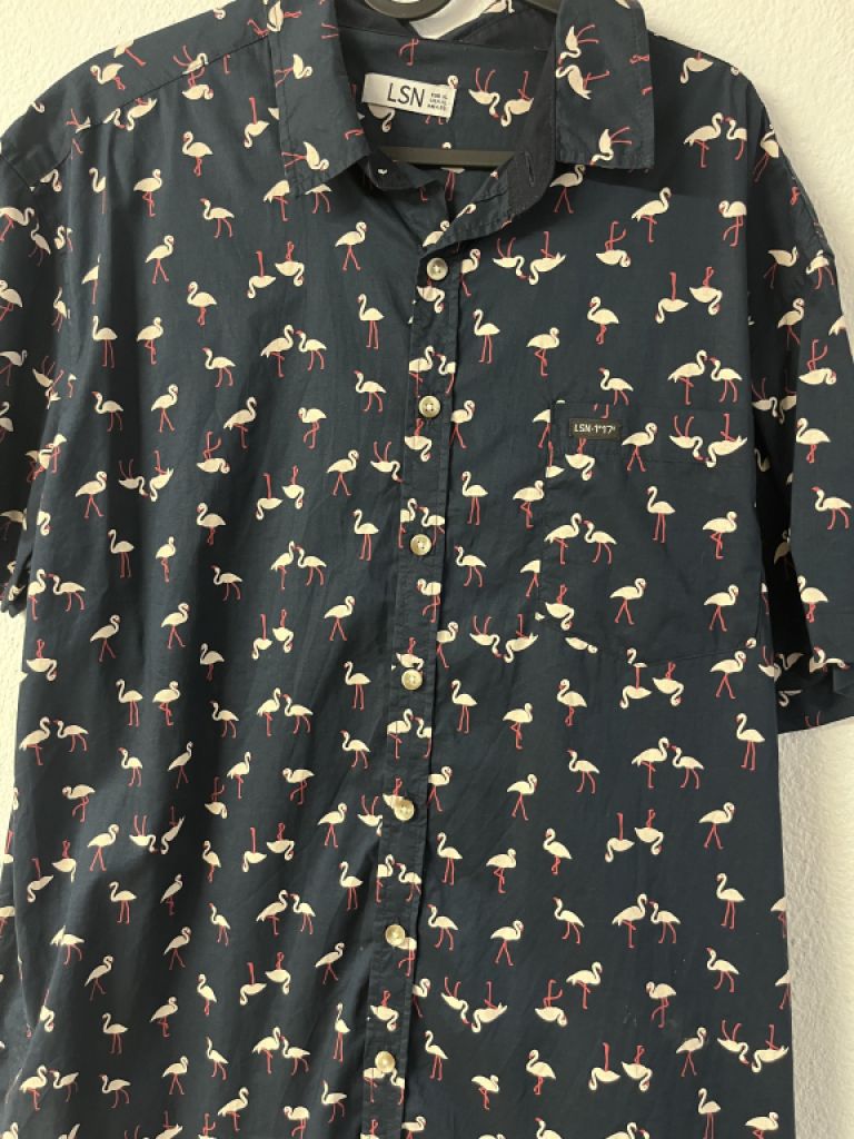 Camisa de manga corta Flamingo, azul, hombre, XL